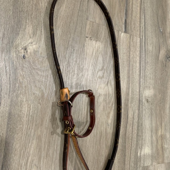 Louis Vuitton collar and leash - Picture 1 of 2